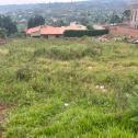Kigali Nice plot for sale in Kicukiro Muyange