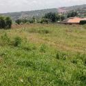 Kigali ikibanza kigurishwa mu Kagarama