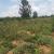  Ntarama Land for sale in Bugesera