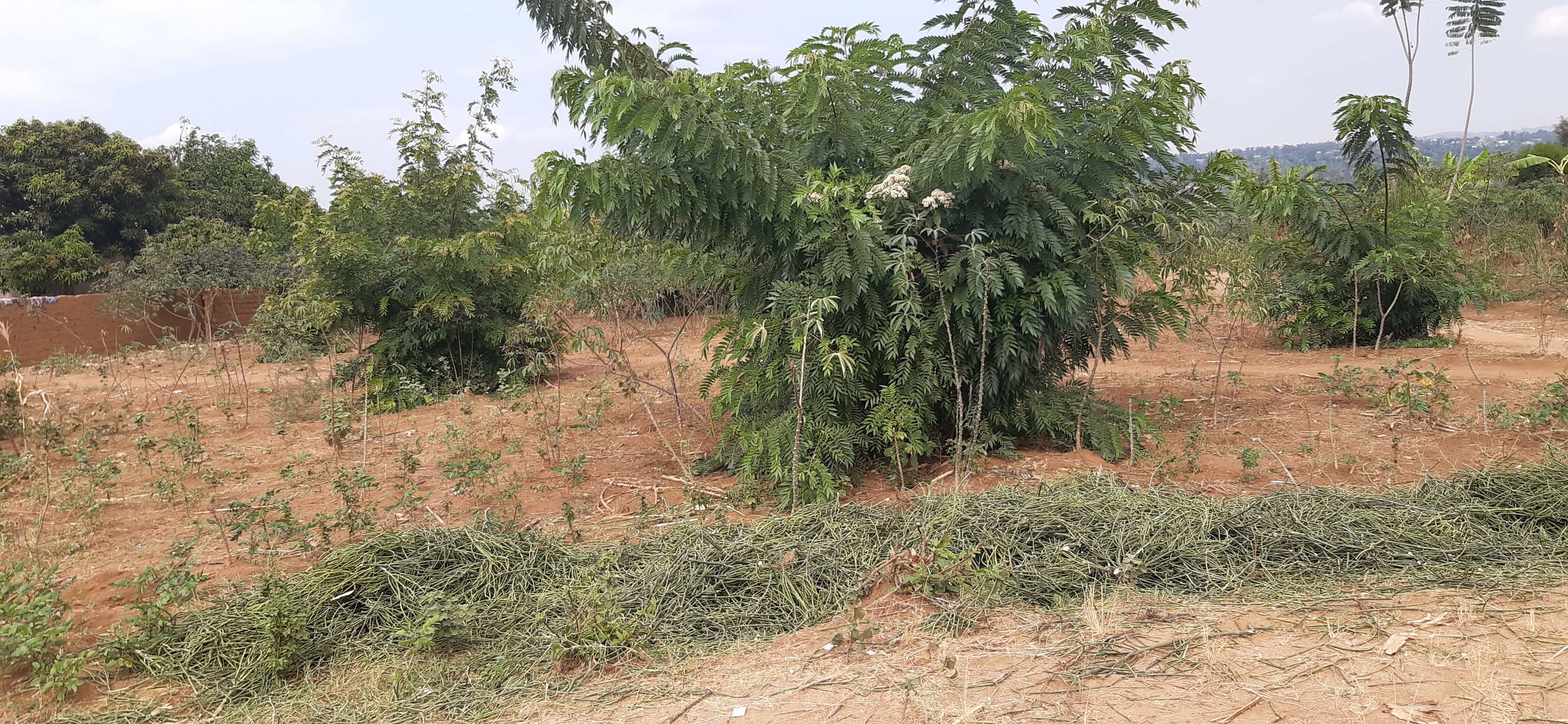 Plot for sale at Bugesera, near International Airport House in Rwanda