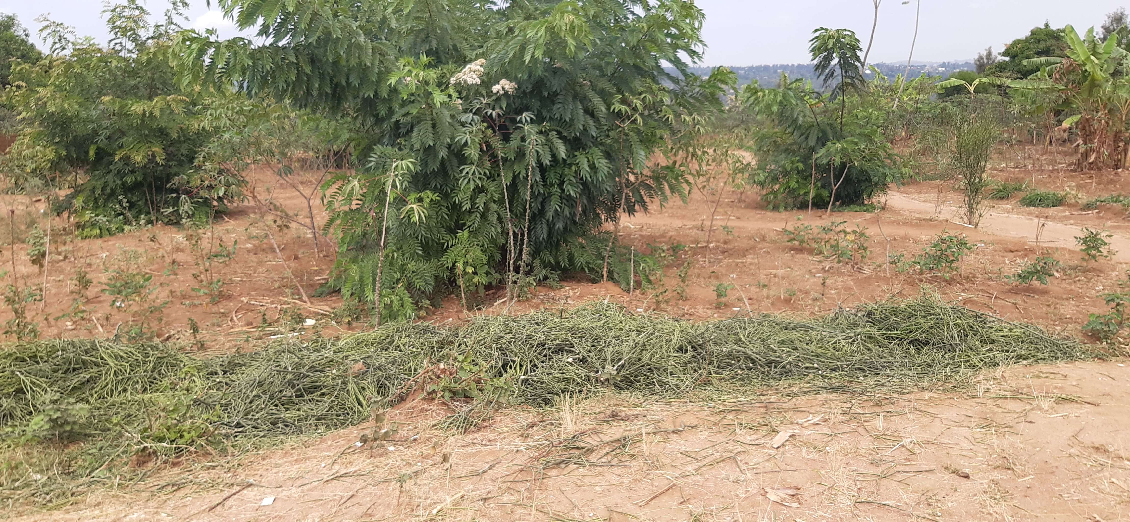 Plot for sale at Bugesera, near International Airport House in Rwanda