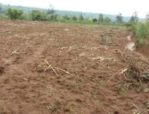 Residential Plot for sale in Bugesera near airport Hot deal Gashora - Image 3
