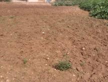 Residential plot for sale in Nyarugenge Kigali  - Image 1