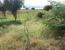 Land for sale in Bugesera Nyamata Town of Rwanda  - Image 2