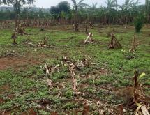 Industial land for sale in Rulindo on main road - Image 1