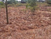 Kigali Plot for sale in Busanza Rwanda - Image 1