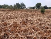 Residential land for sale in Gashora Bugesera Rwanda View of lake - Image 2