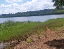 Land for sale in Bugesera RILIMA near airport of Rwanda hot deal access on lake - Image 2