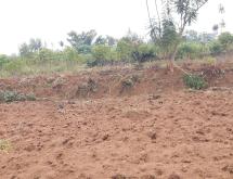 Land for sale in Bugesera RILIMA near airport of Rwanda hot deal  - Image 2
