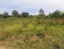 Residential plot for sale in Shyorongi near main road on top mountian - Image 4