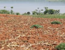 Land for sale in Bugesera near the airport of Rwanda - Image 4