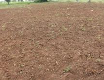 Land for sale in Bugesera Mwendo Rwanda Access on lake - Image 1