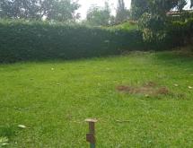 Kigali house for sale in Gisozi - Image 3