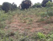 Kigali Industrial land for sale in Gahanga Kicukiro Rwanda - Image 4