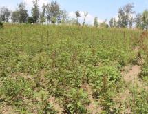 Land for sale in Bugesera RILIMA near airport of Rwanda hot deal access on lake - Image 1
