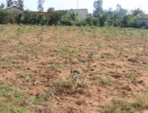  Kigali Commercial land for sale in Gahanga Rwanda on main road - Image 3