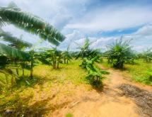 Bugesera big land For sale in Rilima - Image 3