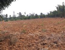 Land for sale in Juru near Bugesera International airport in Rwanda - Image 3