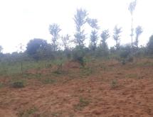 Kigali Land for sale in Bugesera Juru near Bugesera airport  - Image 1