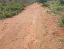 Bugesera Residential land for sale in Juru near Bugesera international Airport - Image 3