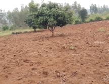 Bugesera Residential land for sale in Juru near Bugesera international Airport - Image 2