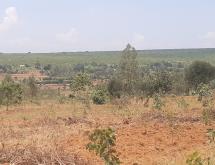 Bugesera  Land for sale in Juru near Bugesera international Airport - Image 1