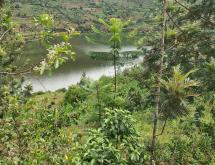 Kigali land for sale in Gasabo near lake Muhazi - Image 2