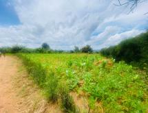 Bugesera big land For sale in Rilima - Image 4
