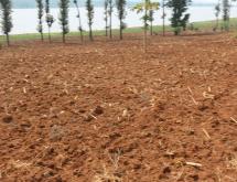 Land for sale in Gashora Bugesera Rwanda Access on lake good location Hot deal - Image 1