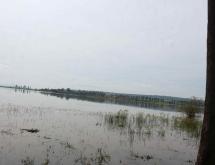 Land for sale in Gashora Bugesera Rwanda Access on lake good location Hot deal - Image 3