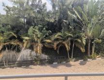 Kigali furnished house for rent  in Gacuriro - Image 5