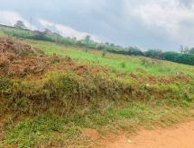 Kigali Plot for Sale in Rusororo – Great Price - Image 2