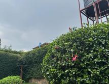 Kigali Very nice house for sale in Gacuriro vision 2020 - Image 2