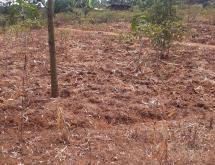 Residential plot for sale in Shyorongi near main road on top mountian - Image 3