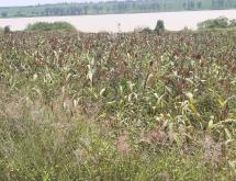 Land for sale in Gashora Bugesera Rwanda Access on lake good location Hot deal - Image 3