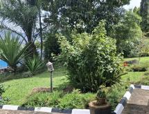 Kigali Pool house available for rent in Kacyiru  - Image 3