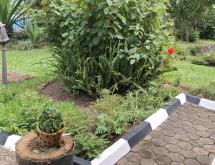 Kigali Pool house available for rent in Kacyiru  - Image 5