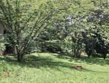 Kigali Semi furnished house available for rent in Kacyiru  - Image 5