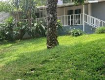 Kigali Unfurnished house available for rent in Kiyovu  - Image 3