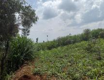 Land for Sale in Gikomero, Gasabo District - Image 3