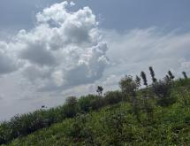 Land for Sale in Gikomero, Gasabo District - Image 2