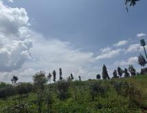 Land for Sale in Gikomero, Gasabo District - Image 1