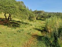 Hotel plot for sale in Muhazi lake is Ecotourism Access on lake in Hotel zoning - Image 4