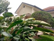 Kibagabaga fully furnished house for rent in Kigali - Image 2