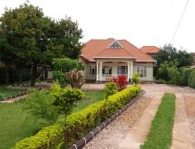 Fully Furnished House for Rent in a Spacious Natural Compound - Image 2