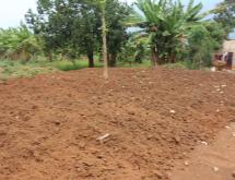 Residential land for sale Juru near airport of Rwanda - Image 1
