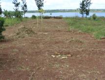 Residential land for sale in Gashora Bugesera Rwanda View of lake Hot deal - Image 2