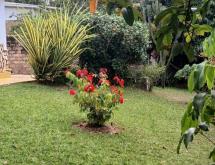 Kigali Unfurnished Bungalow available for rent in Kiyovu  - Image 4