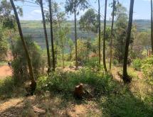 Gacuriro Large Residential Plot for Sale in Kigali - Image 4