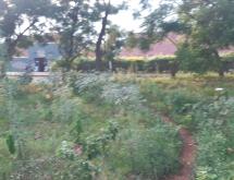 Kigali Prime Plot for Sale in Kacyiru of town and lake access on main road  - Image 1
